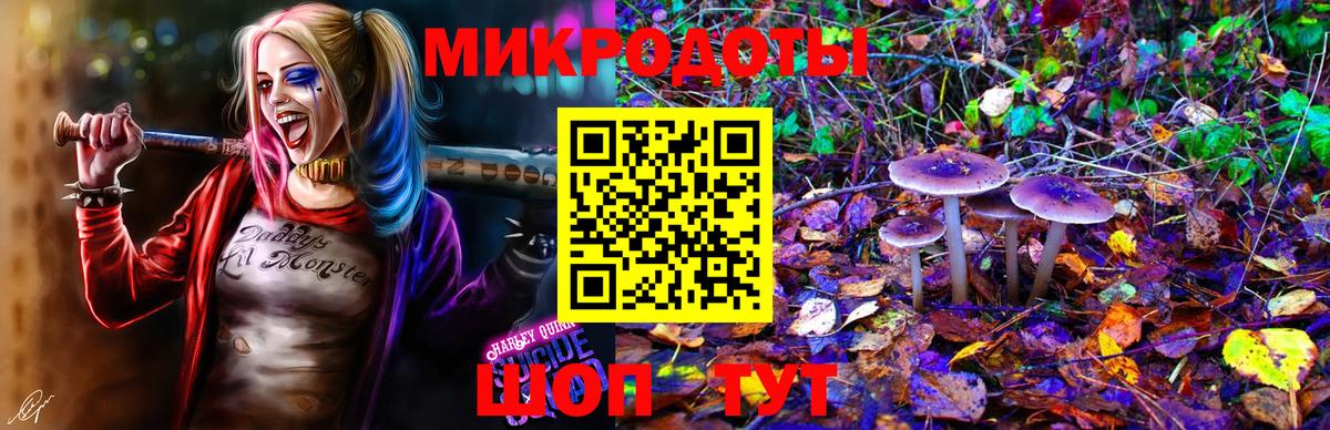 даркнет сайт  Псилоцибиновые грибы мухоморы  Вход с VPN  Обнинск 